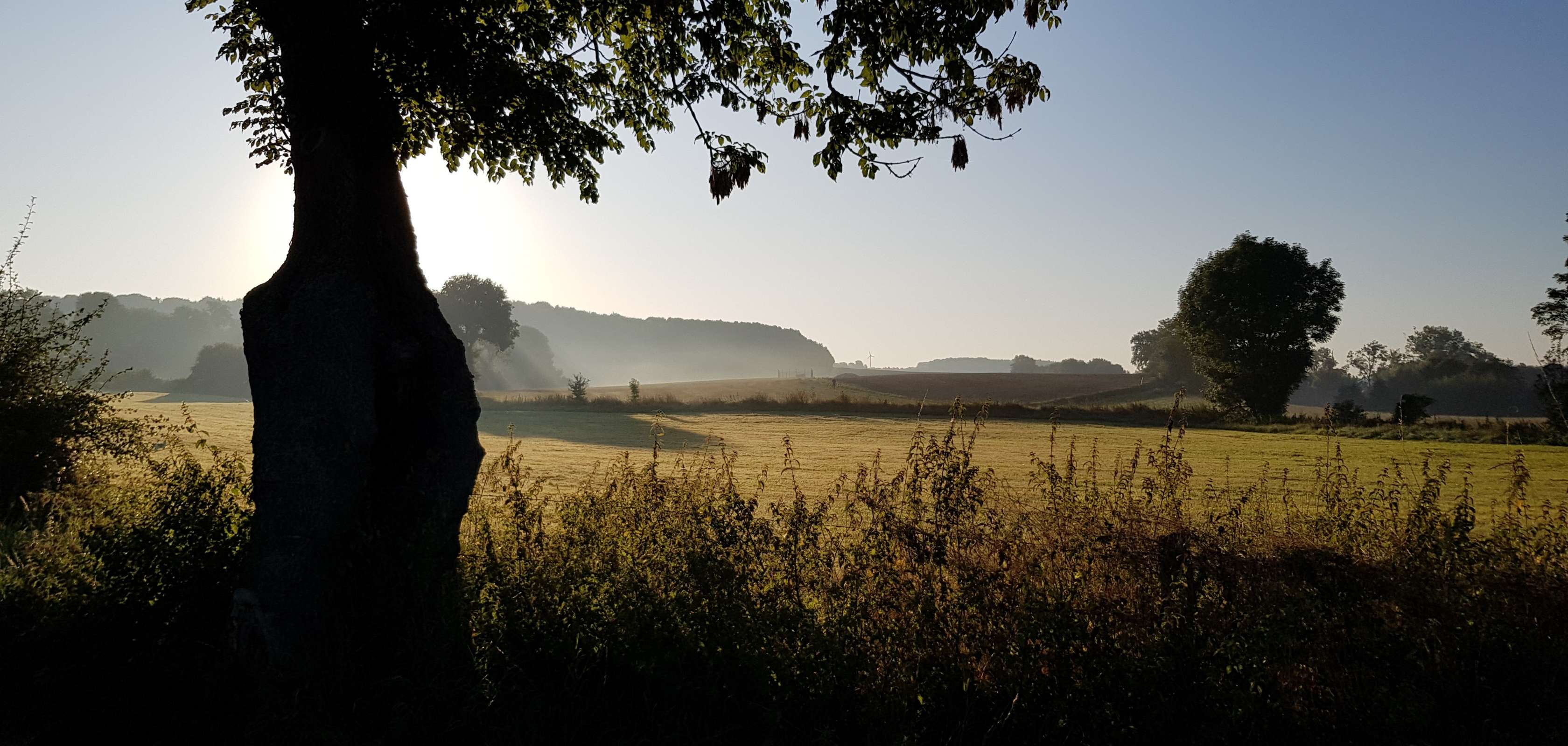 Zuid-Limburg