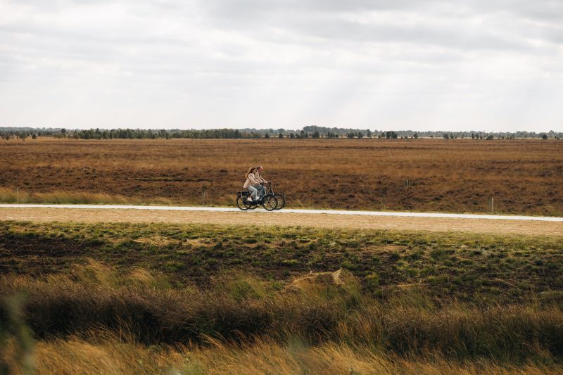 Fietsroute van het Jaar 2024: Van Gogh Drenthe Fietsroutes