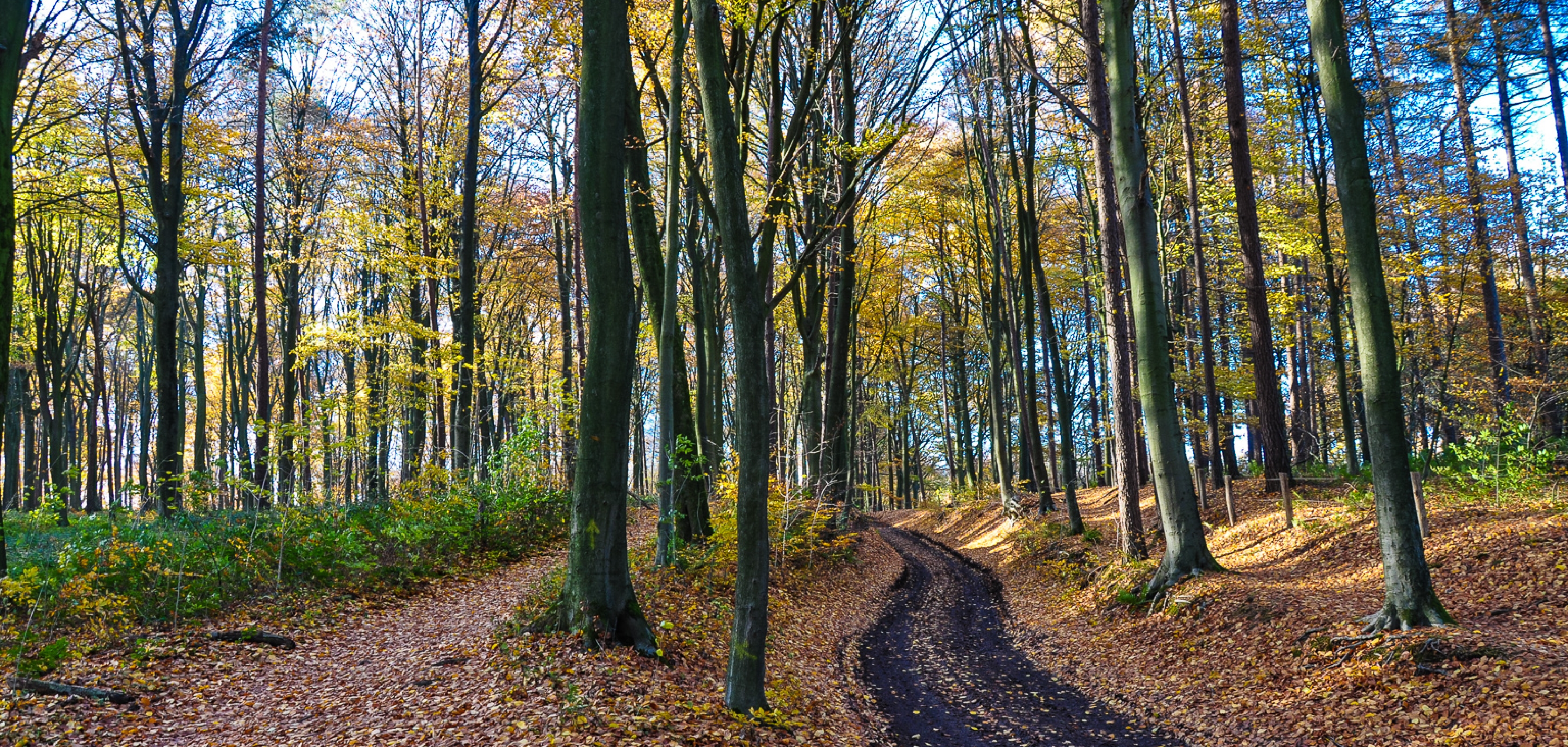 Mtb tourtochten in België in Oost-Vlaanderen in Kluisbergen