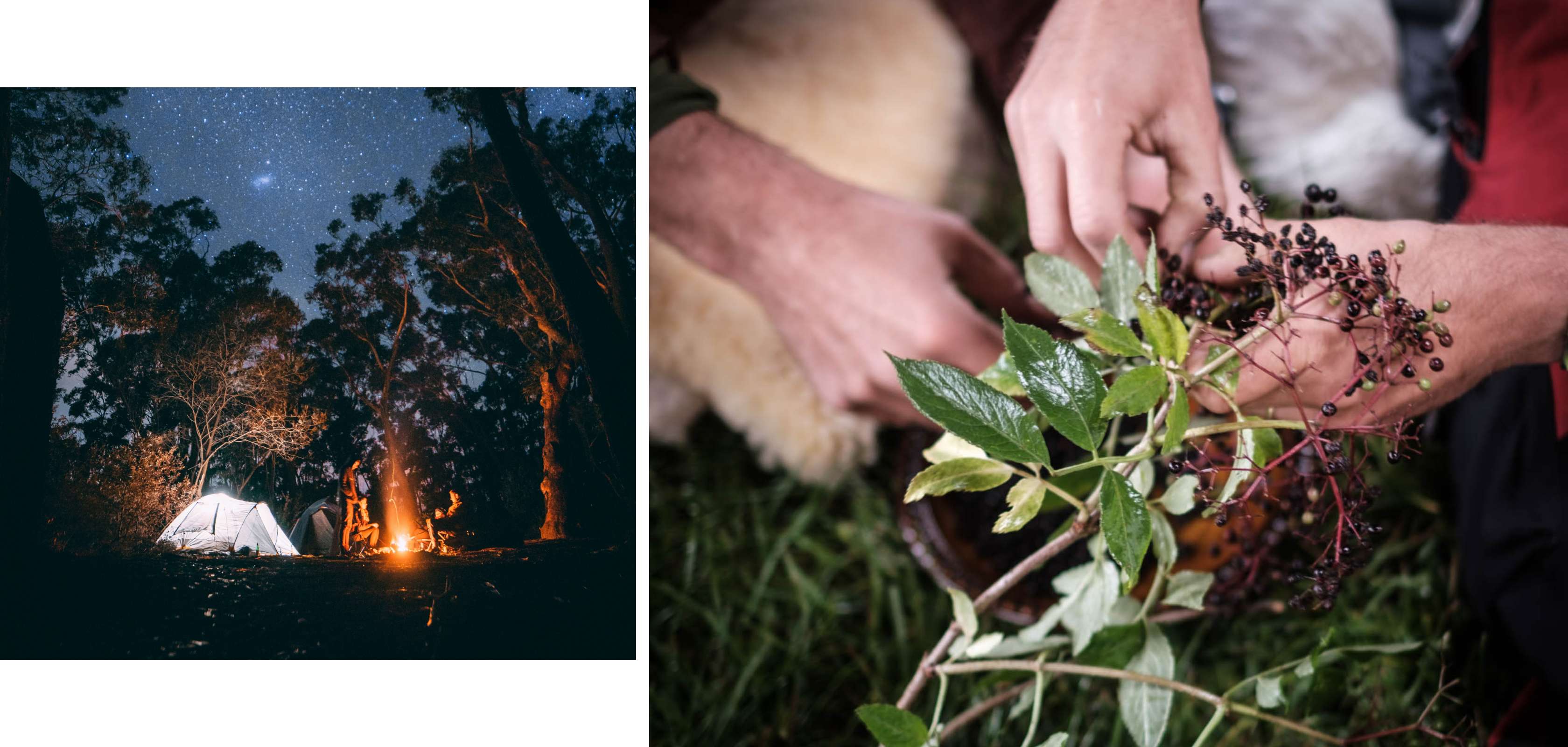 's nachts kamperen en wildplukken