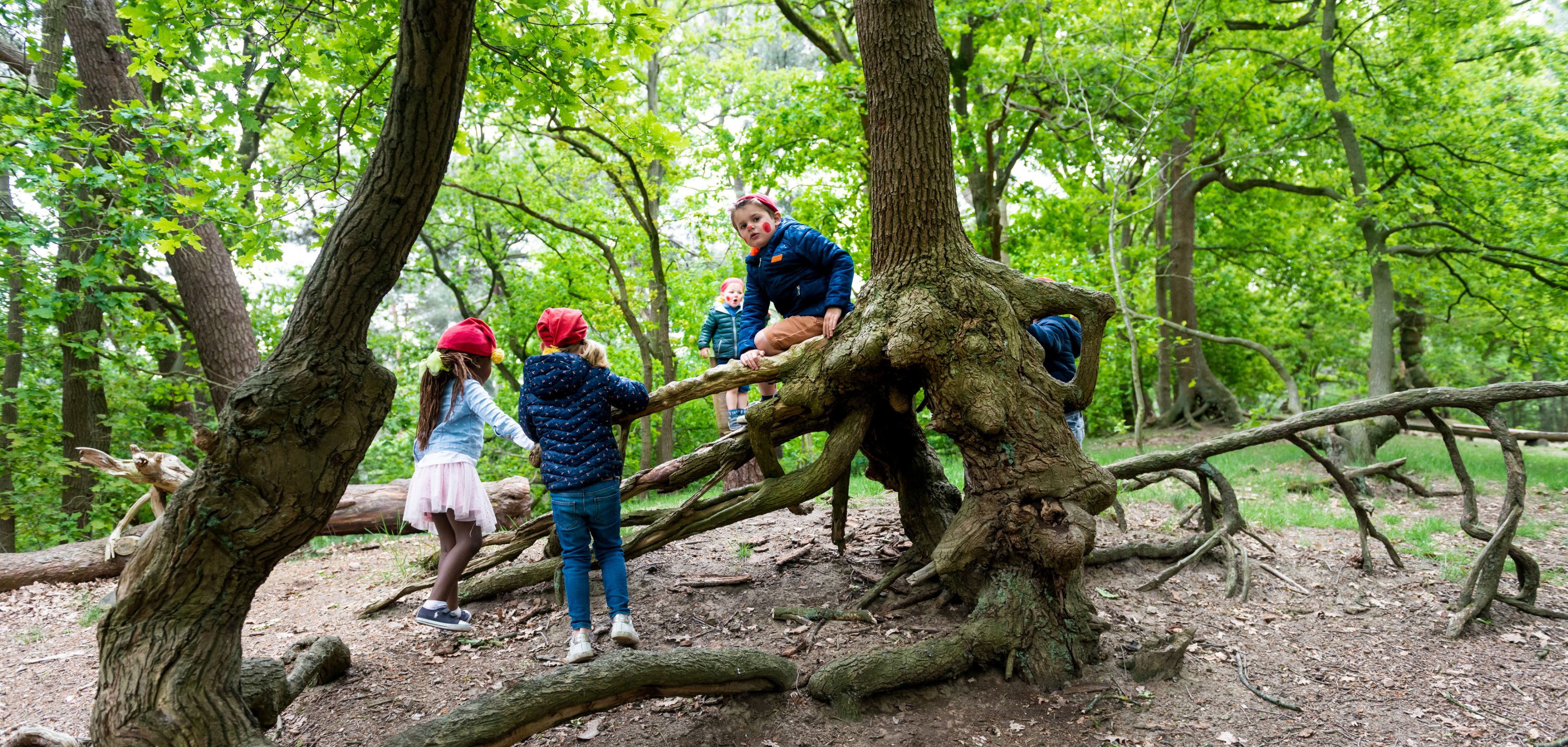 Kinderen spelen op de Kabouterberg in Kasterlee tijdens een leuke wandeling voor kinderen