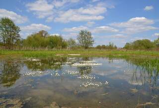 Wandelroute van A.S.Adventure en Natuurpunt de Antitankgracht