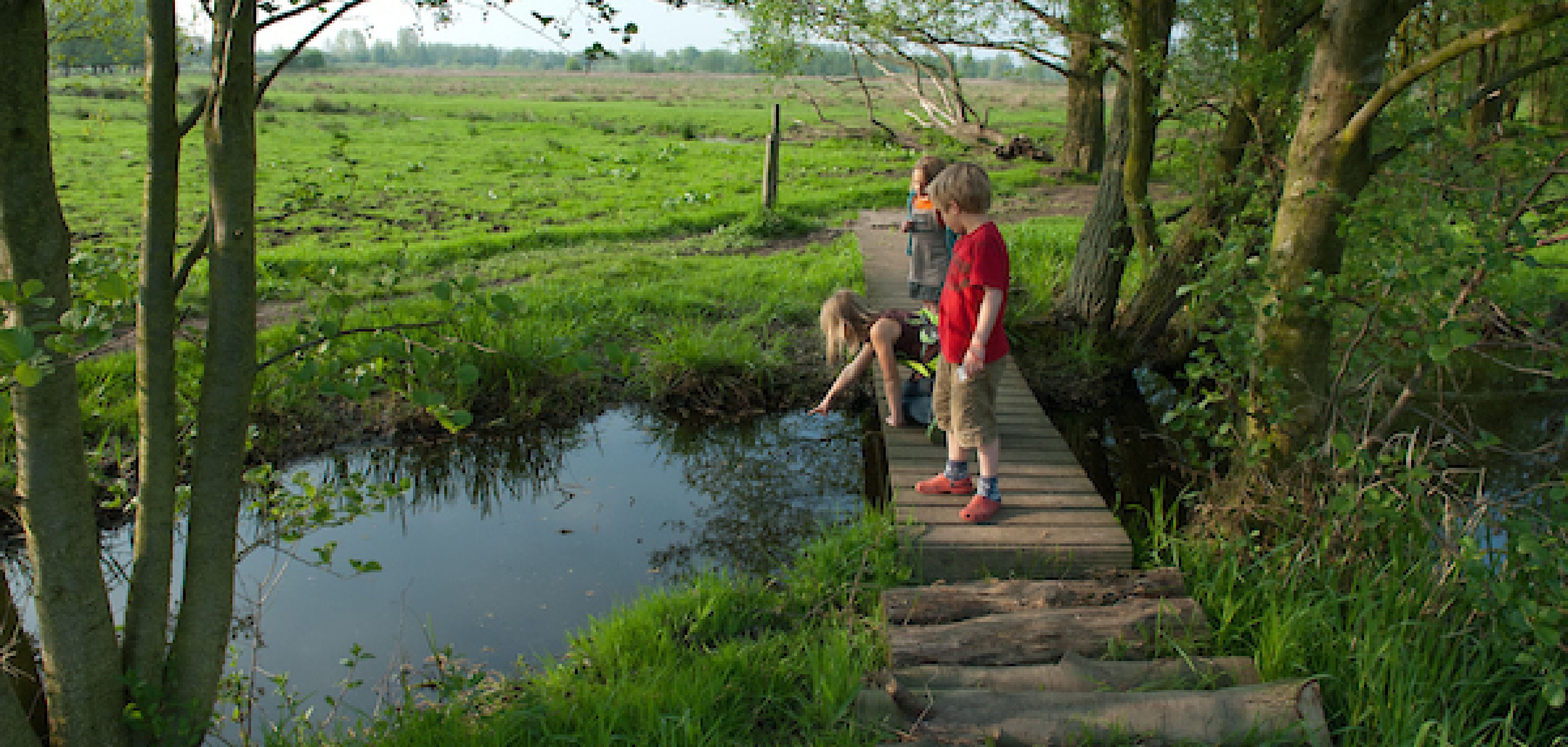 Wandeling in het Mechels Broek met een mooi vlonderpad