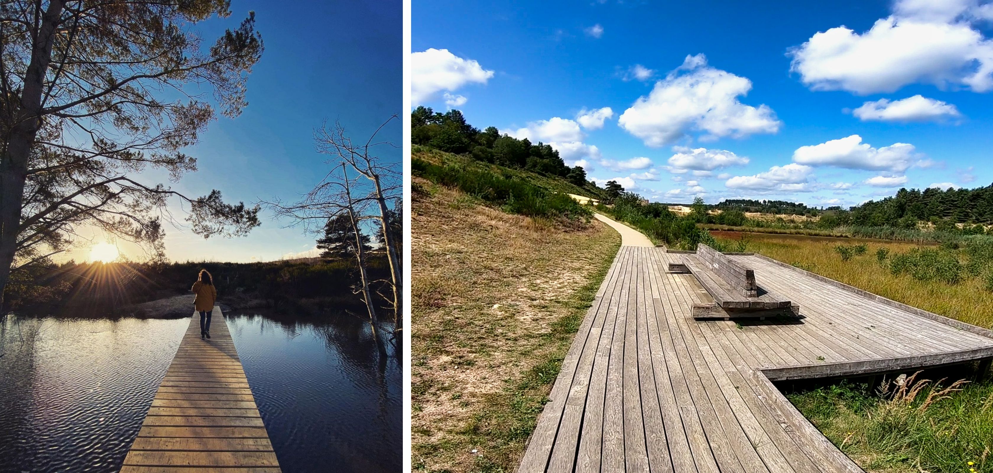 Wandeling in het Nationaal Park Hoge Kempen met een mooi vlonderpad