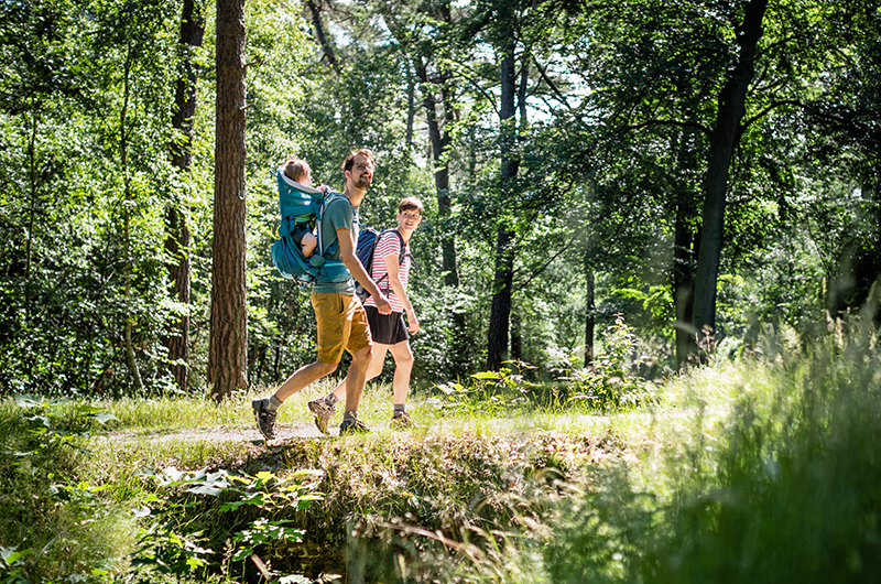 Hoe kies je de beste kinderdrager?