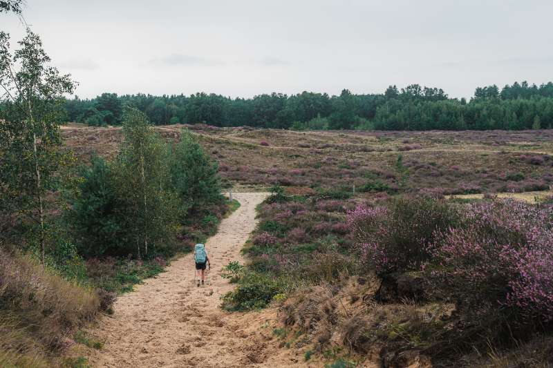 Ontdek de 6 Nationale Parken van België