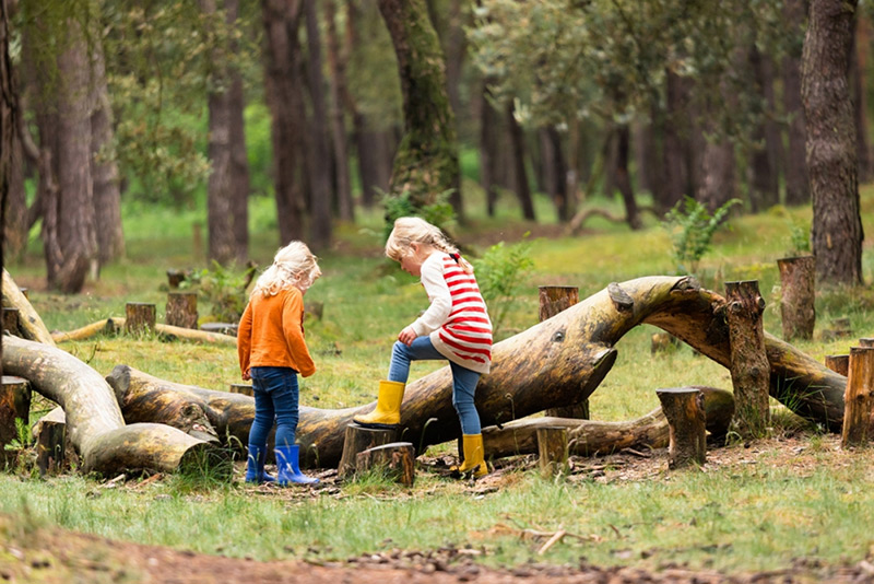 Met deze tips krijg je je kinderen wél de natuur in