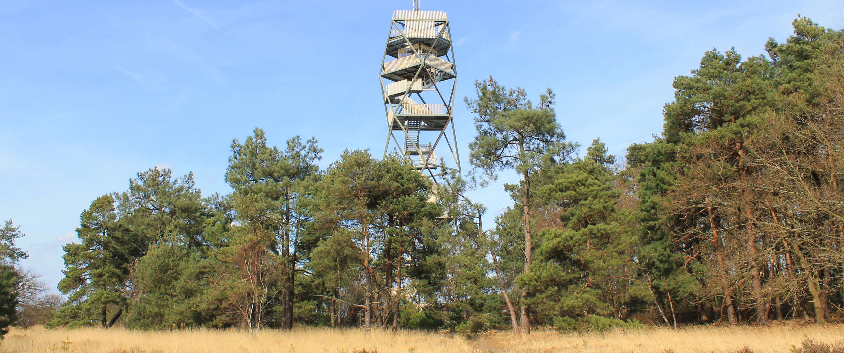 Kalmthoutse Heide