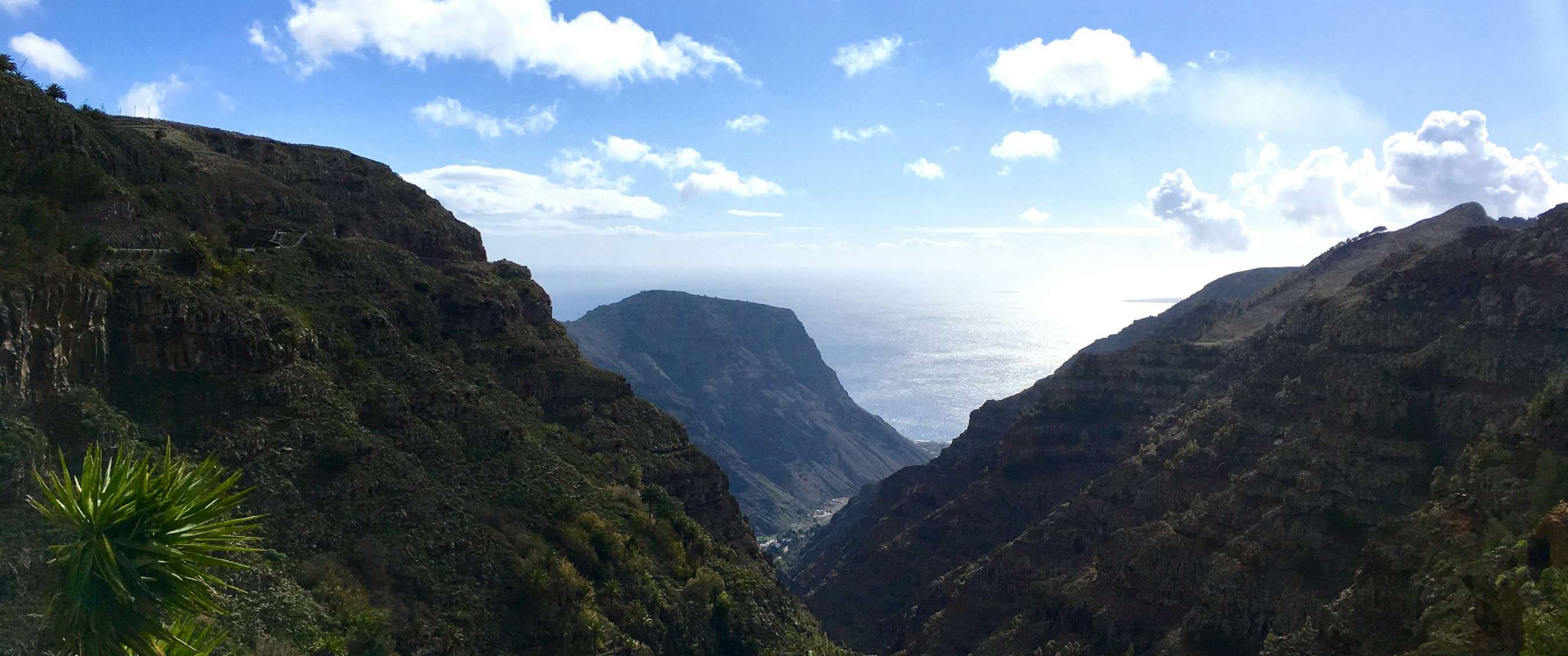 Trailrunnen op La Gomera