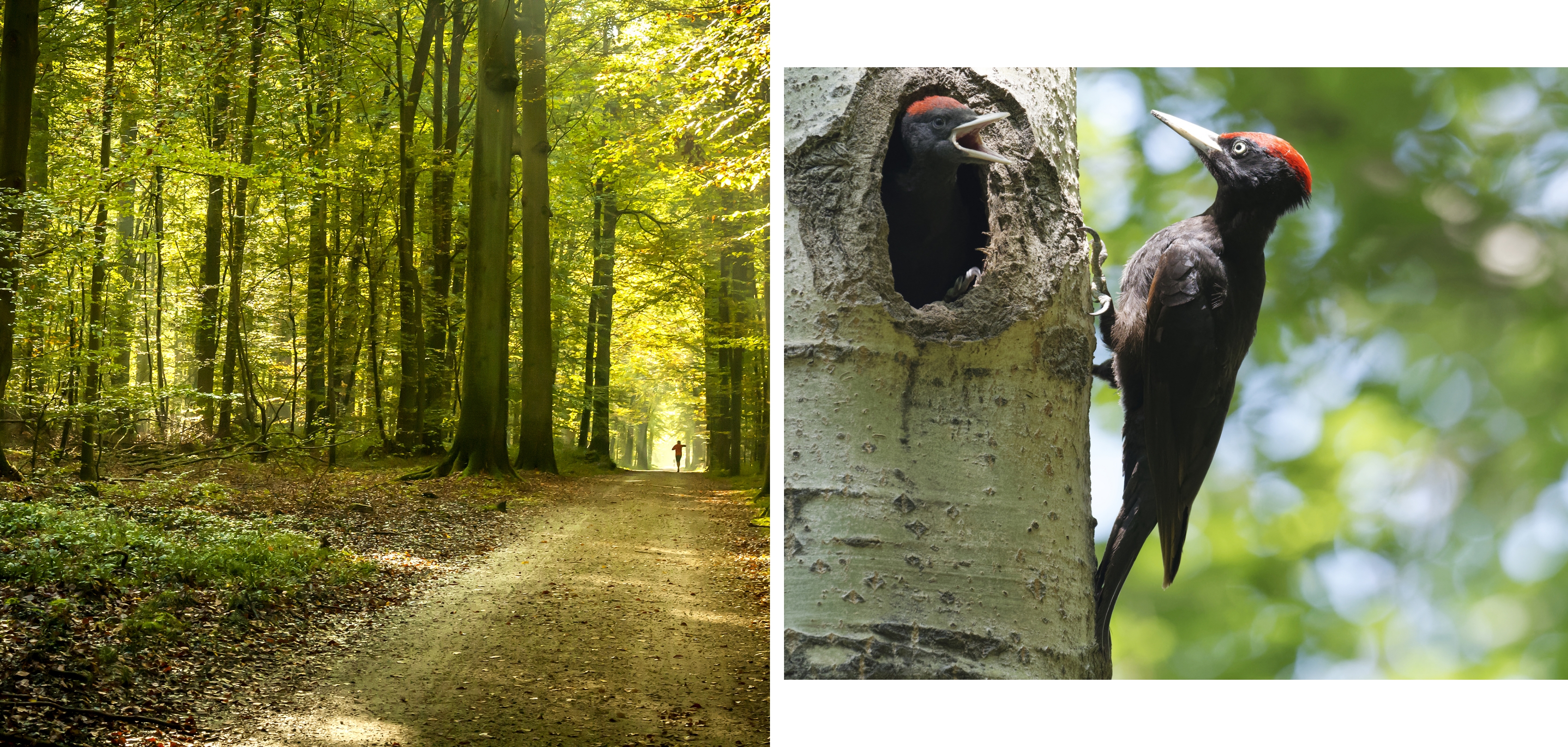 Wandelcoach Peggy Janssens in de natuur geniet van de natuur in Zuid-Afrika