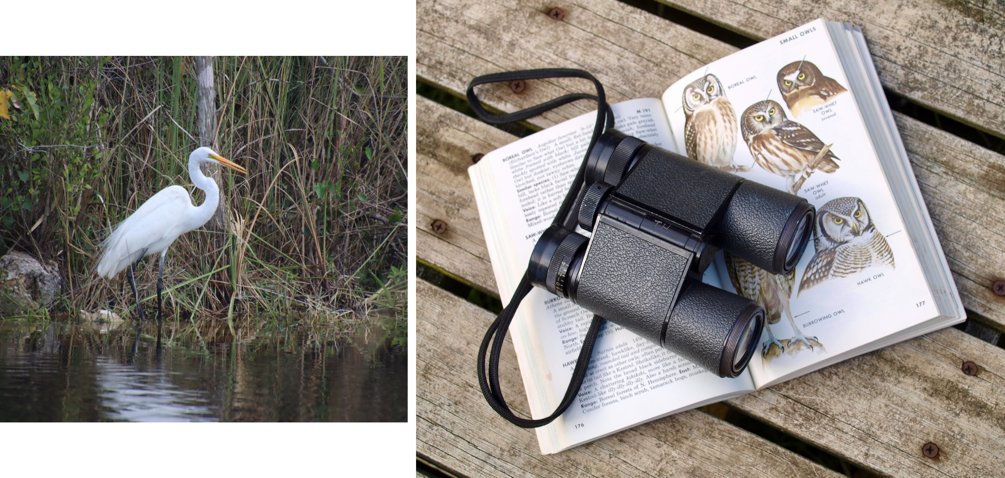 Wandelcoach Peggy Janssens in de natuur mediteert in de natuur in Zuid-Afrika