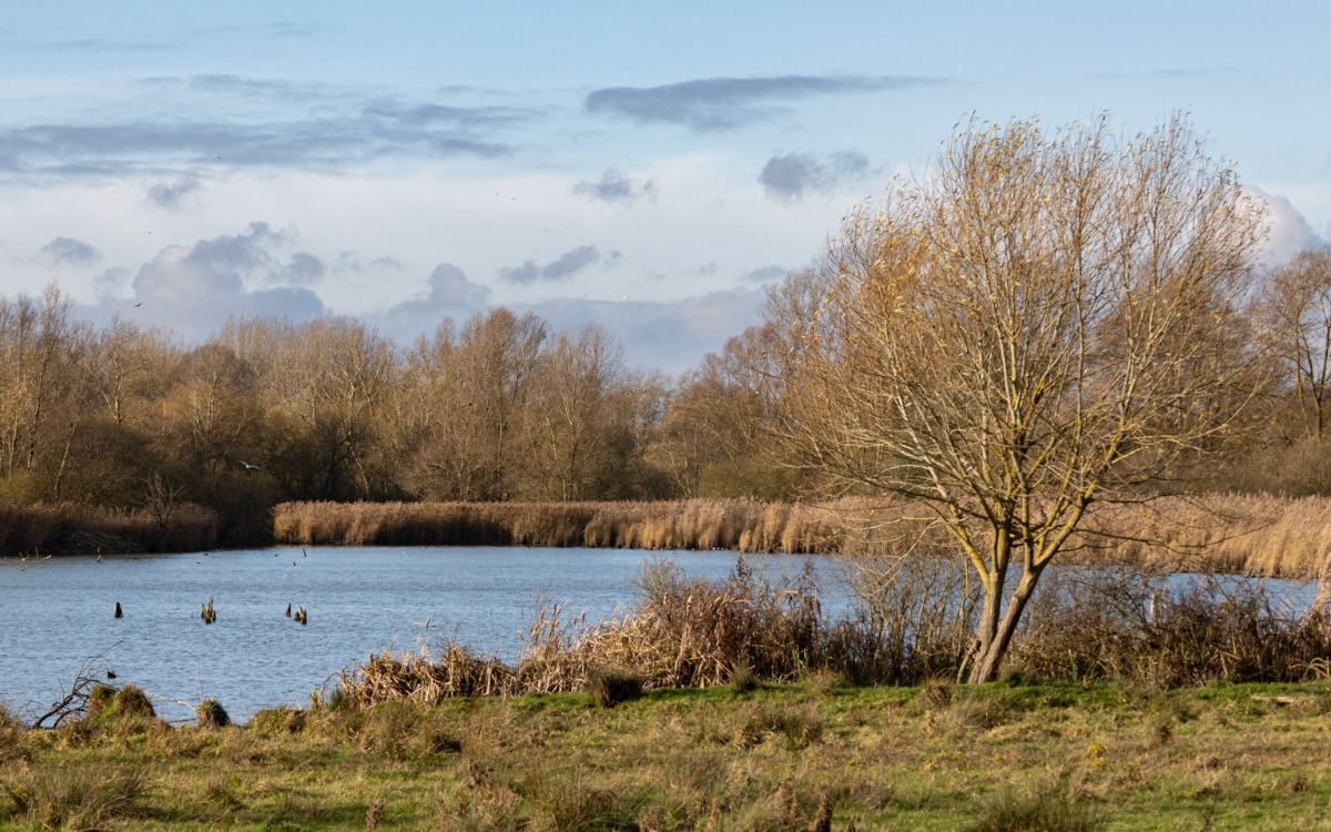 De favoriete plek in de natuur van bioloog Wim Massant in de Westhoek