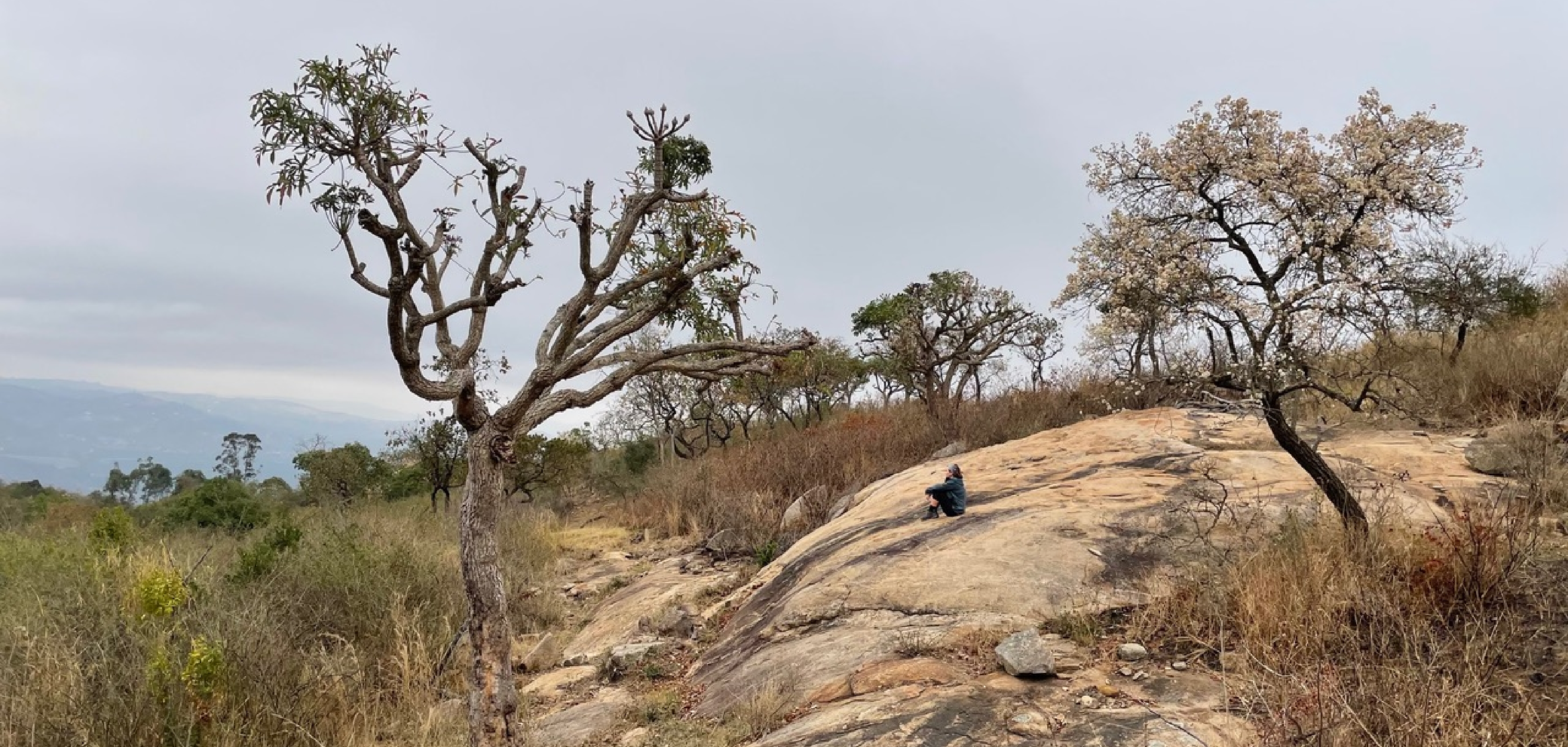 Wandelcoach Peggy Janssens in de natuur mediteert in de natuur in Zuid-Afrika