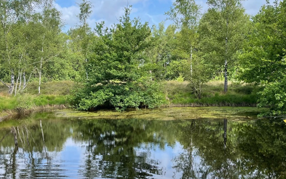 Peggy’s favoriete plek in de natuur op de Kesselse Heide