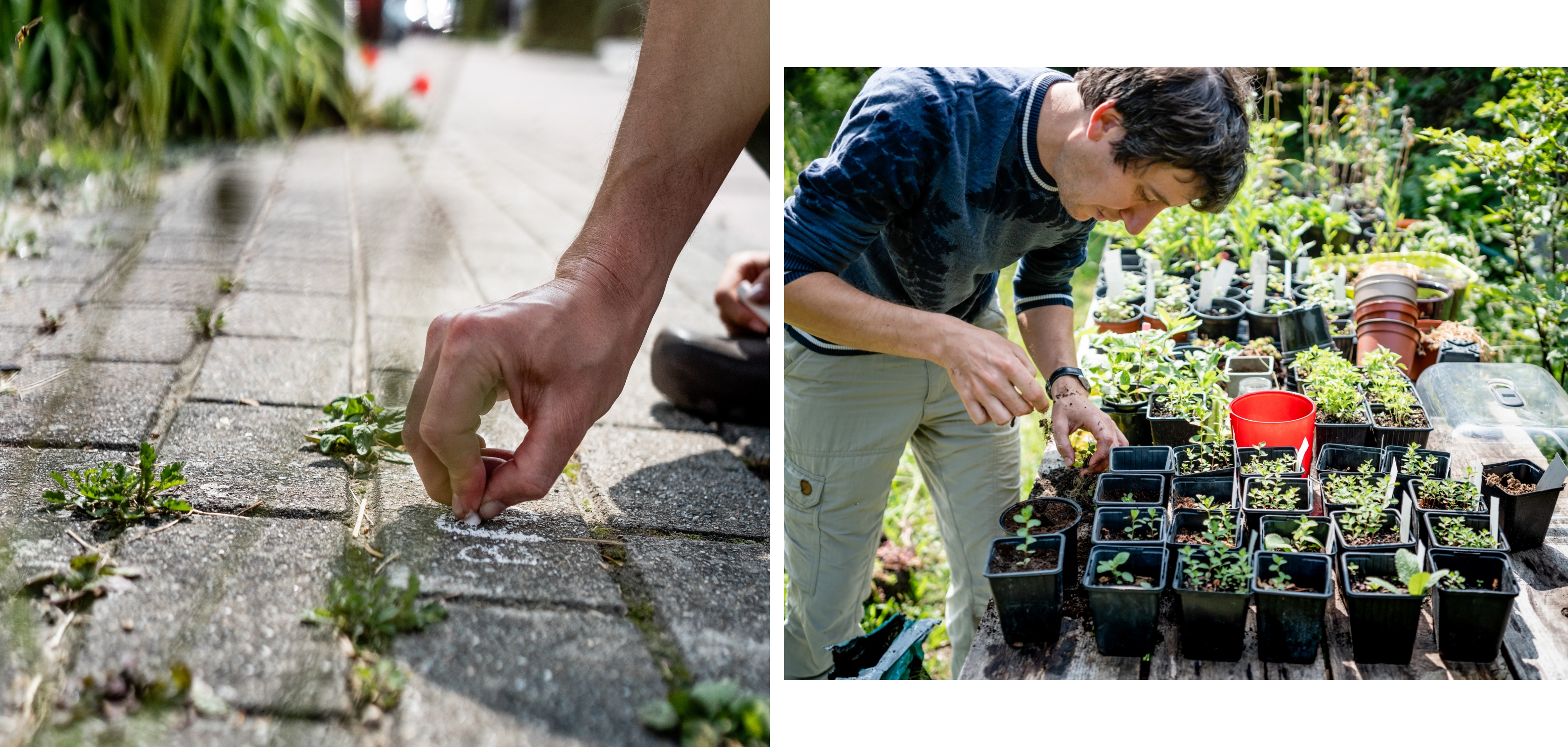 Wim Massant geniet van de natuur in de tuin