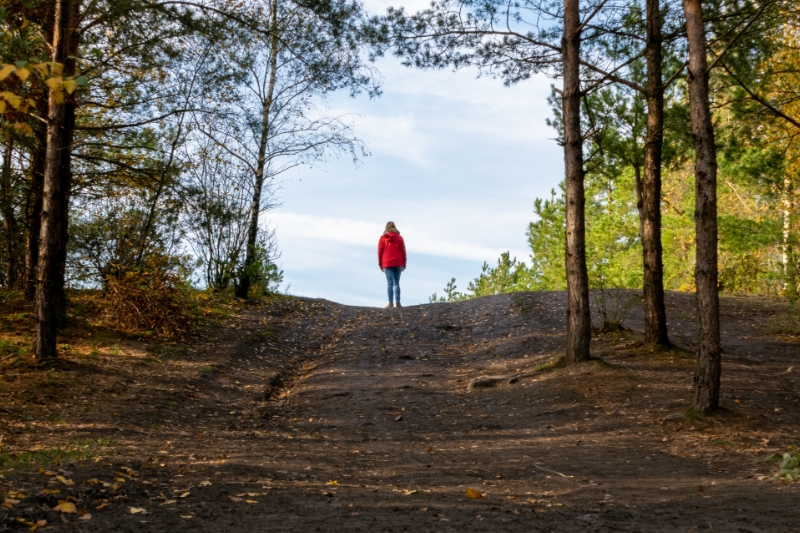 De 5 mooiste wandelingen van Vlaanderen