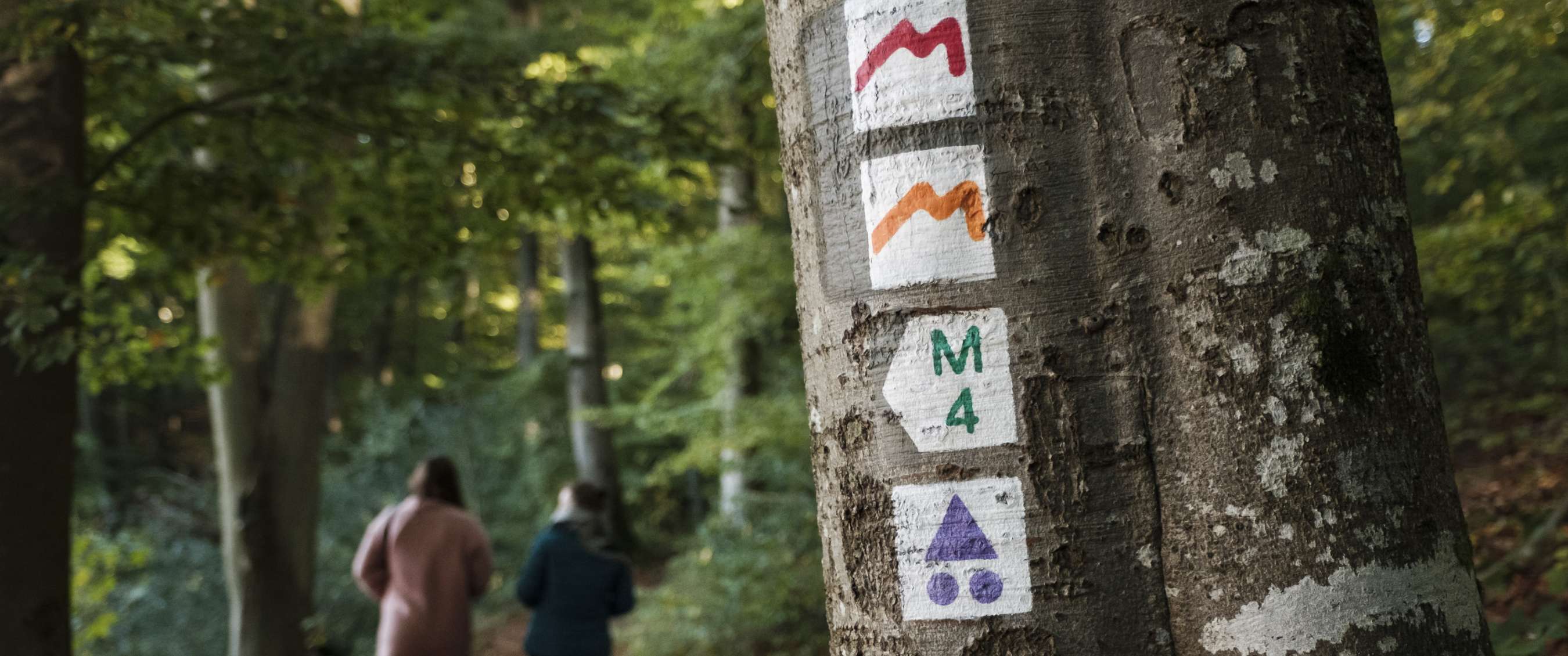 Wegmarkeringen op de Mullerthal Trail in Luxemburg