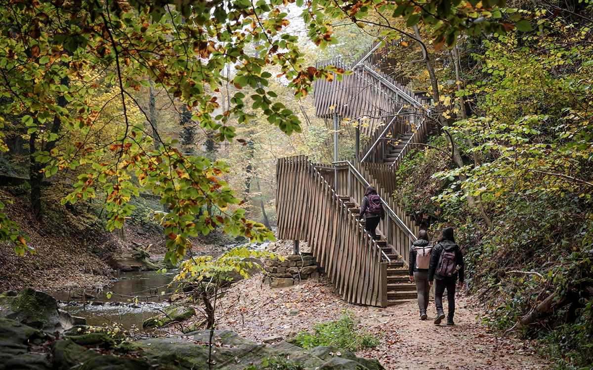 Mullerthal Trail: sprookjesachtig wandelen in Luxemburg