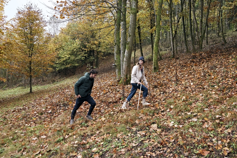 De mooiste herfstwandelingen in en rond België