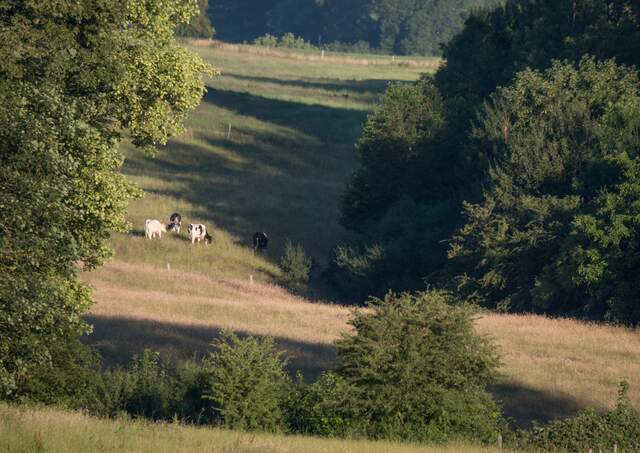 Wandelroute van A.S.Adventure en Natuurpunt in Voeren