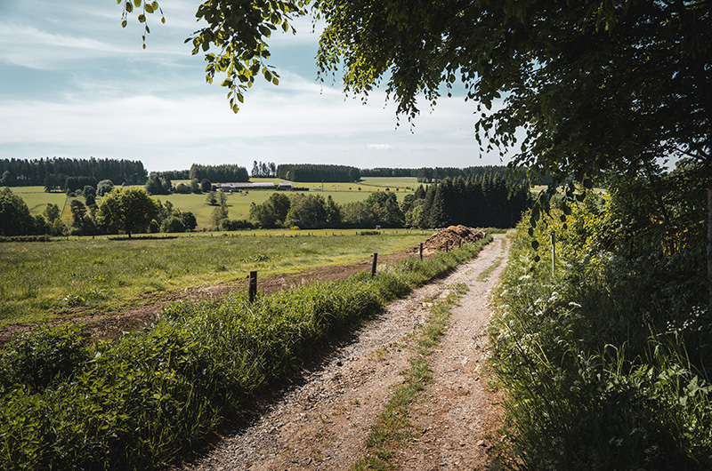 Deze 10 Treinstappers laten je de mooiste Vlaamse GR’s beleven