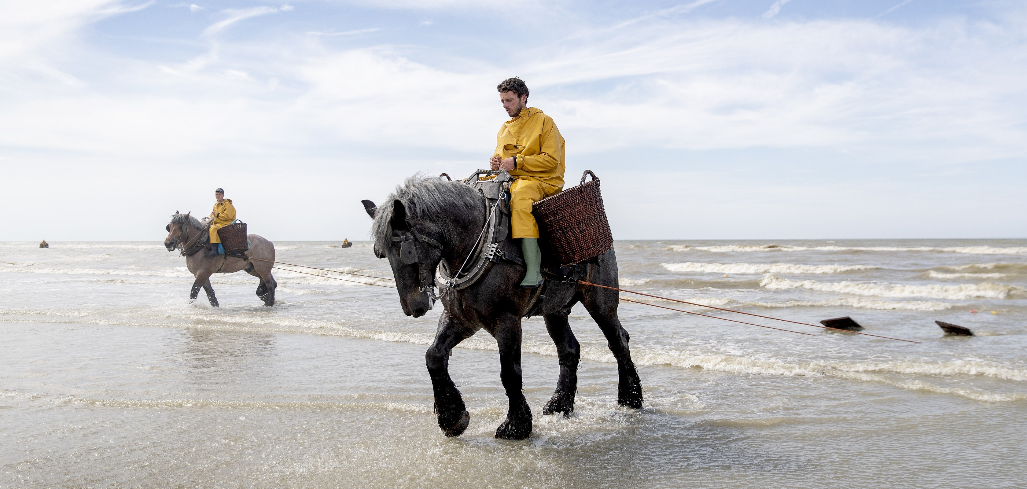 Garnaalvissers tijdens een van de mooiste wandelingen aan de Belgische kust in Oostduinkerke 