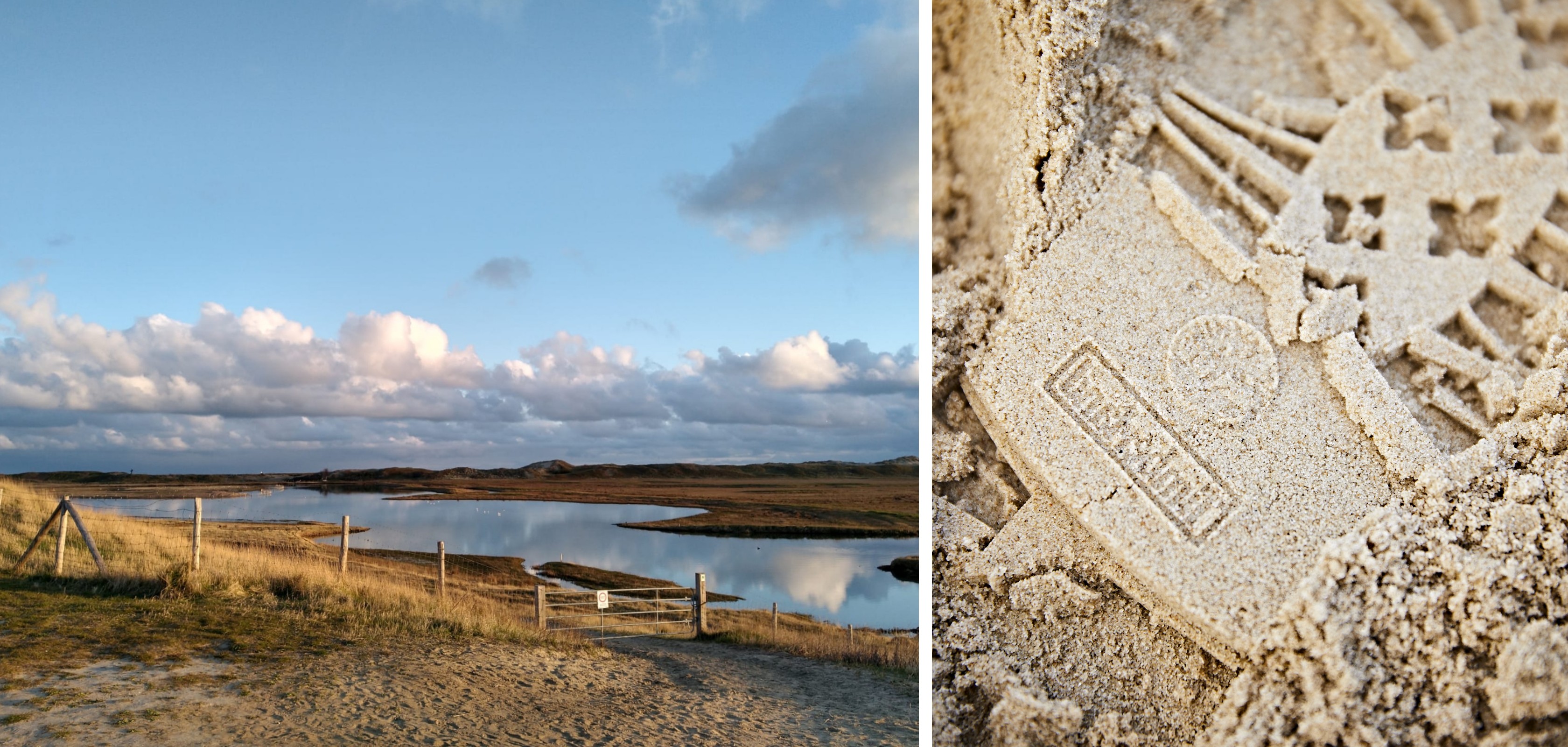 Een van de mooiste wandelingen aan de Belgische kust in het Zwin