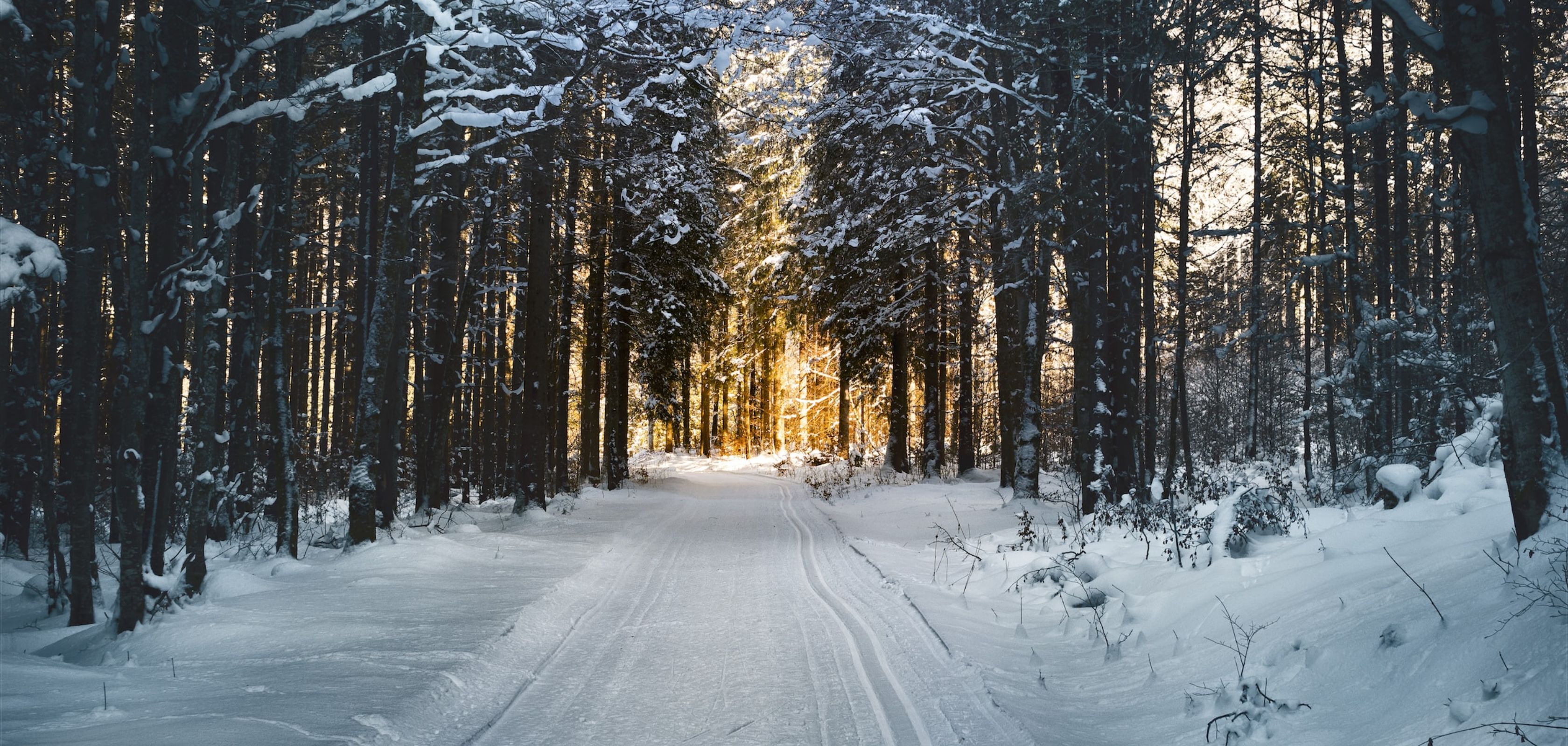 Bois des Rêves in Waals-Brabant voor een mooie wandeling in de sneeuw