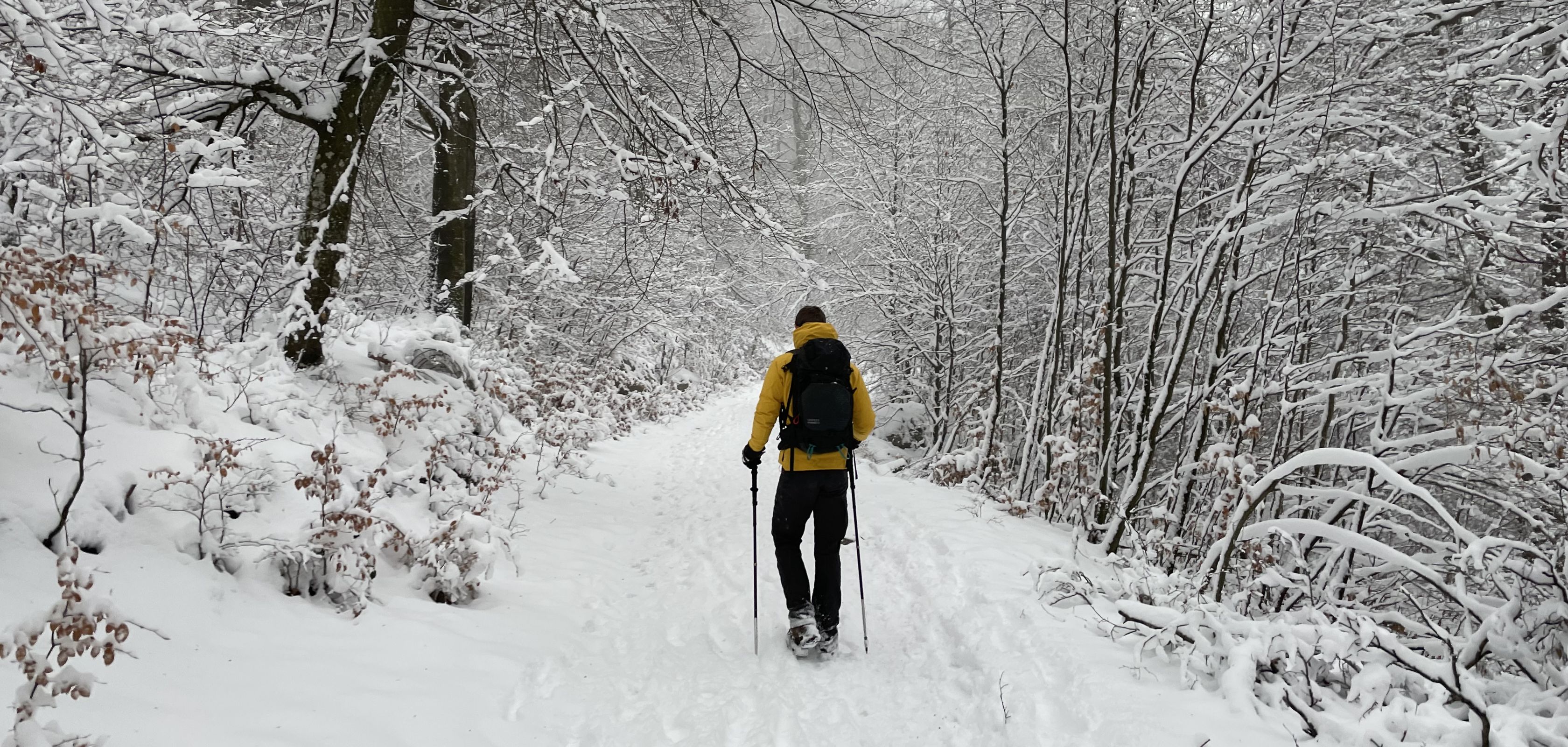 Man op winterwandeling in België 