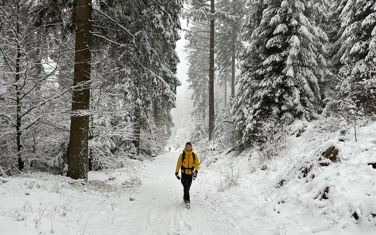 De mooiste winterwandelingen in de sneeuw