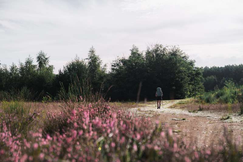 10x wandelen in Limburg