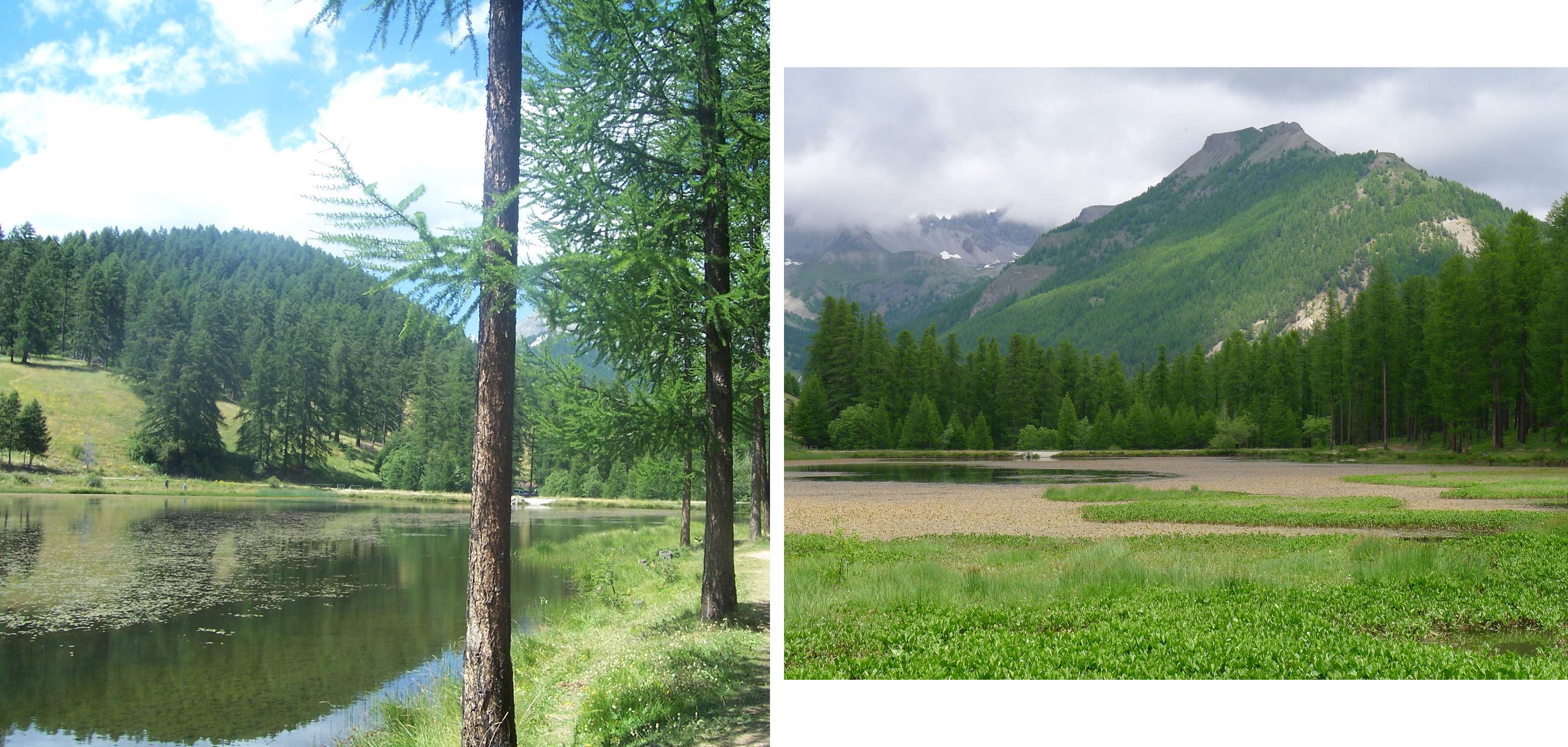 Lac de Roue in Queyras