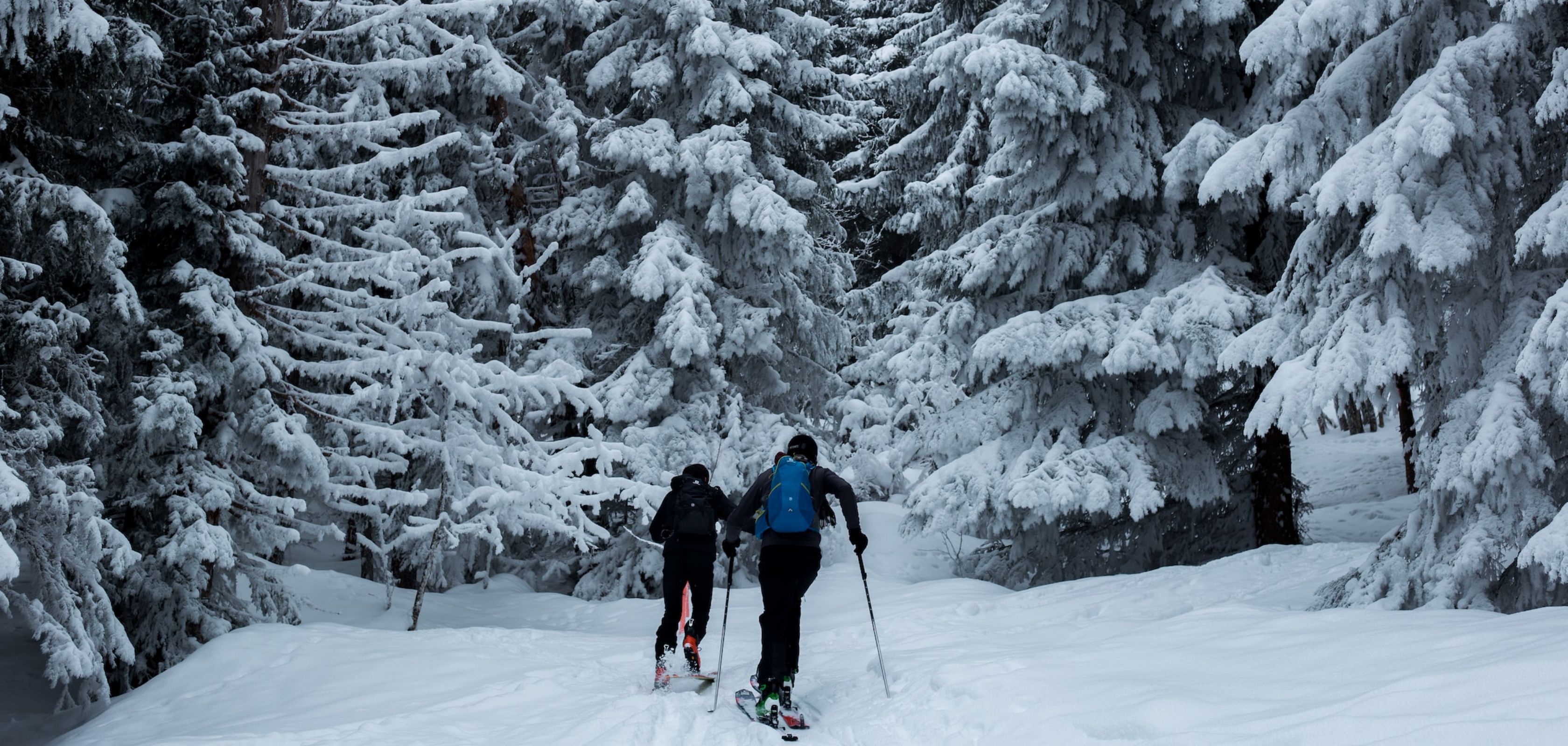 Langlaufen op wintersportvakantie