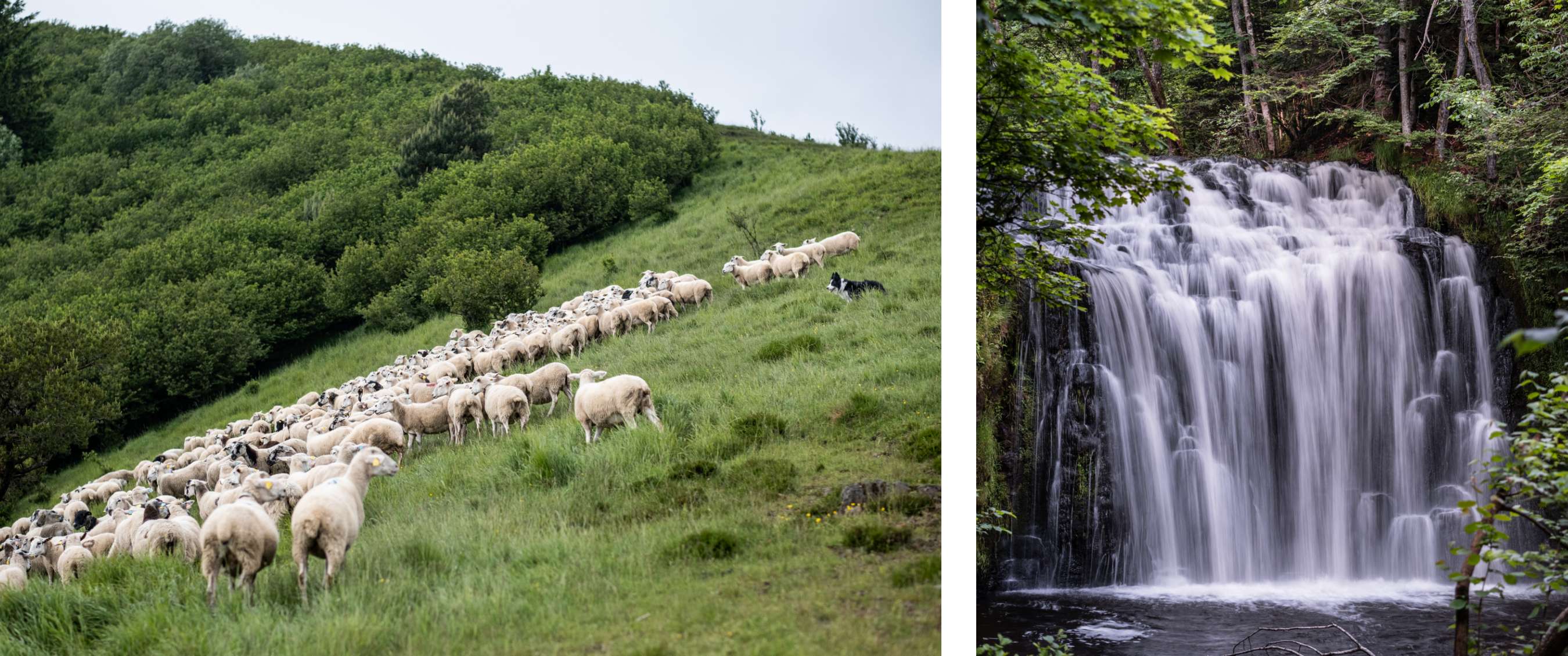 Auvergne