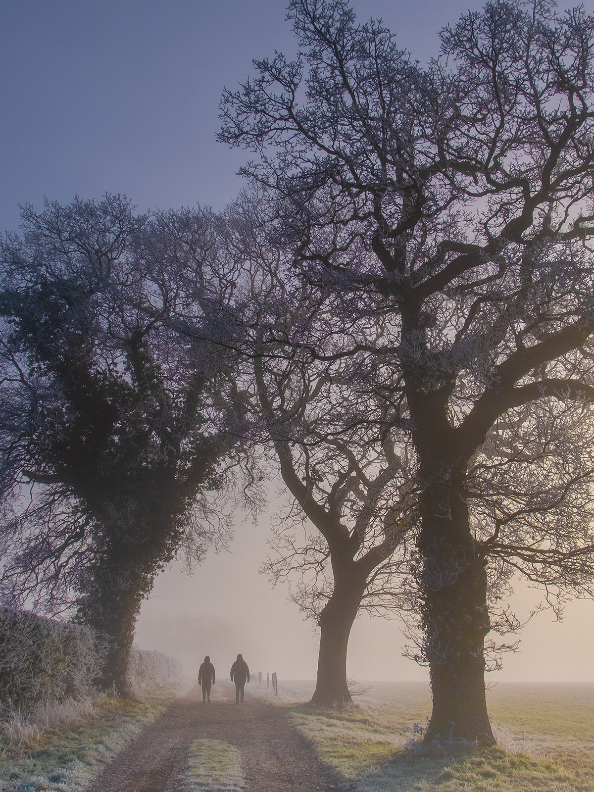 Portie natuur tegen de winterdip